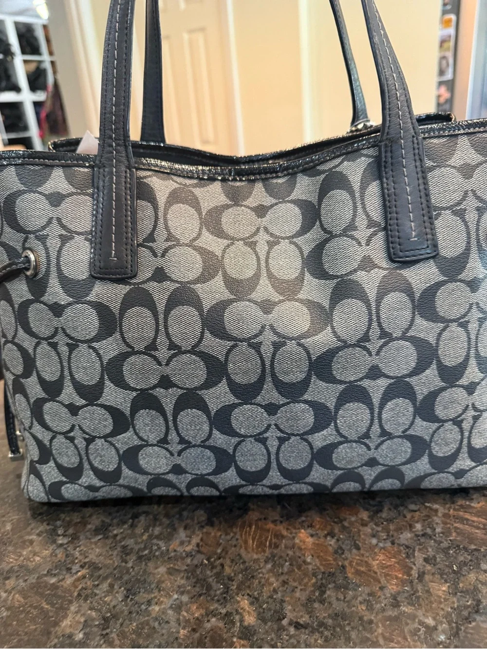 Coach Gray and Black Signature Stripe Tote